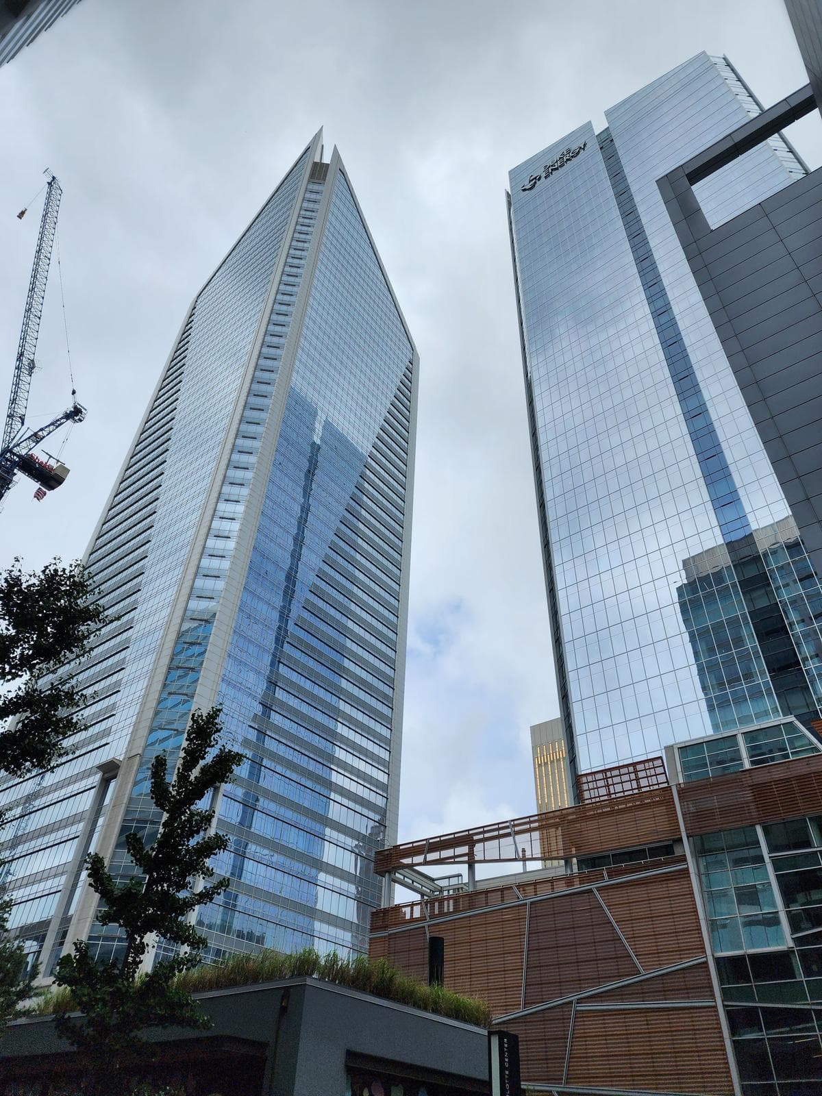 The Charlotte, North Carolina skyline seen from street level on an overcast day
